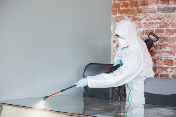 Professional Mold Removal & Remediation in Buffalo, OK